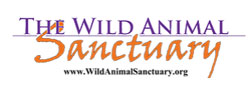 Wild-Animal-Sanctuary
